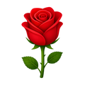 Elegancia y amor en un solo regalo