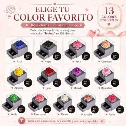 Rosa Eterna Oficial | Joyero con Collar “Te Amo” en 100 Idiomas
