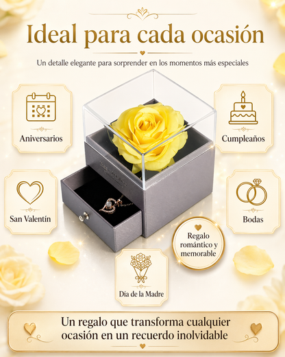 Rosa Eterna Oficial | Joyero con Collar “Te Amo” en 100 Idiomas